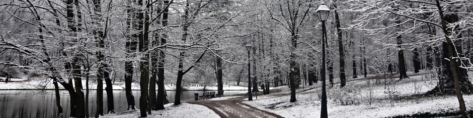 trees-winter